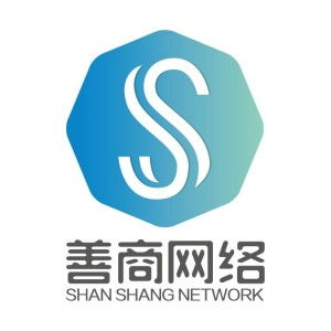 杭州善商網絡科技 推動數字化創新的領航者