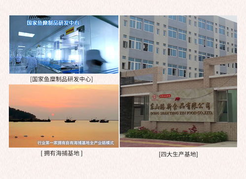 海欣休閑食品手撕蟹肉棒 南寧辦公軟件開(kāi)發(fā)與銷售團(tuán)隊(duì)的理想能量伴侶