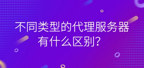代理服務器與票務代理 從數據傳輸到服務體驗的差異解析